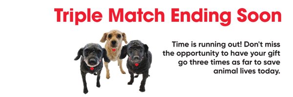 atlantahumane Profile Banner