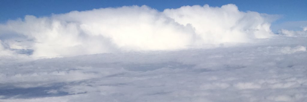 tenjiku's profile banner image