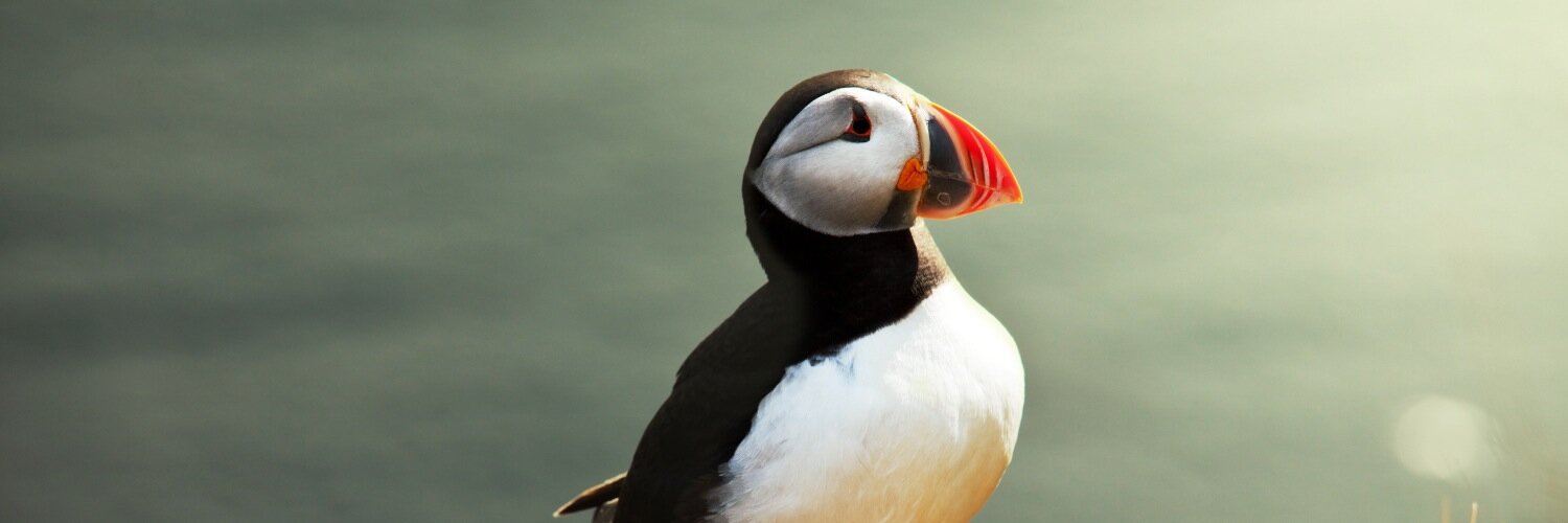 Nathan Hurley banner