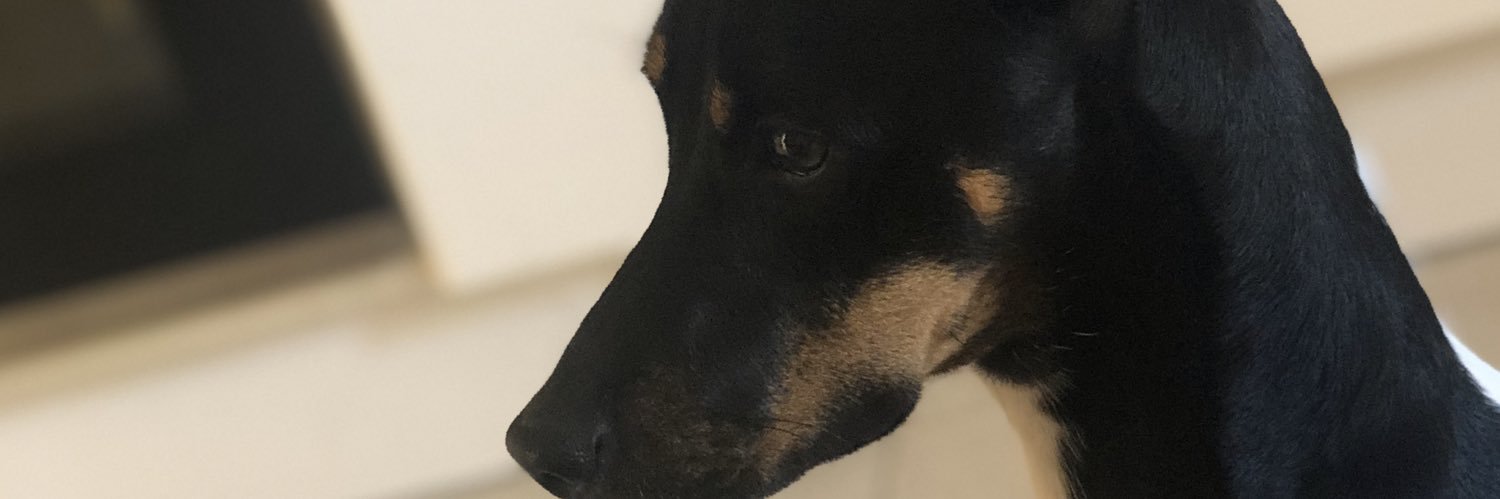 94Alej's profile banner image
