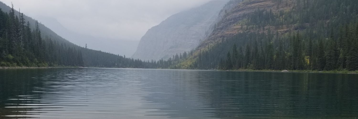 PrezWhitehouse's profile banner image
