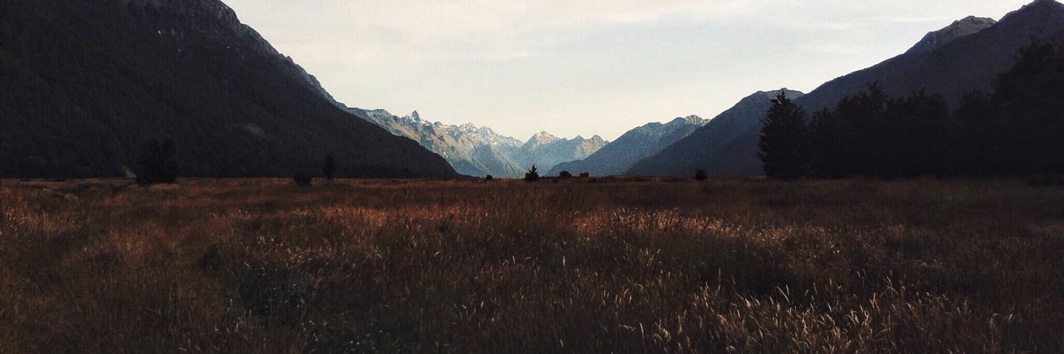 AngelicTroye's profile banner image