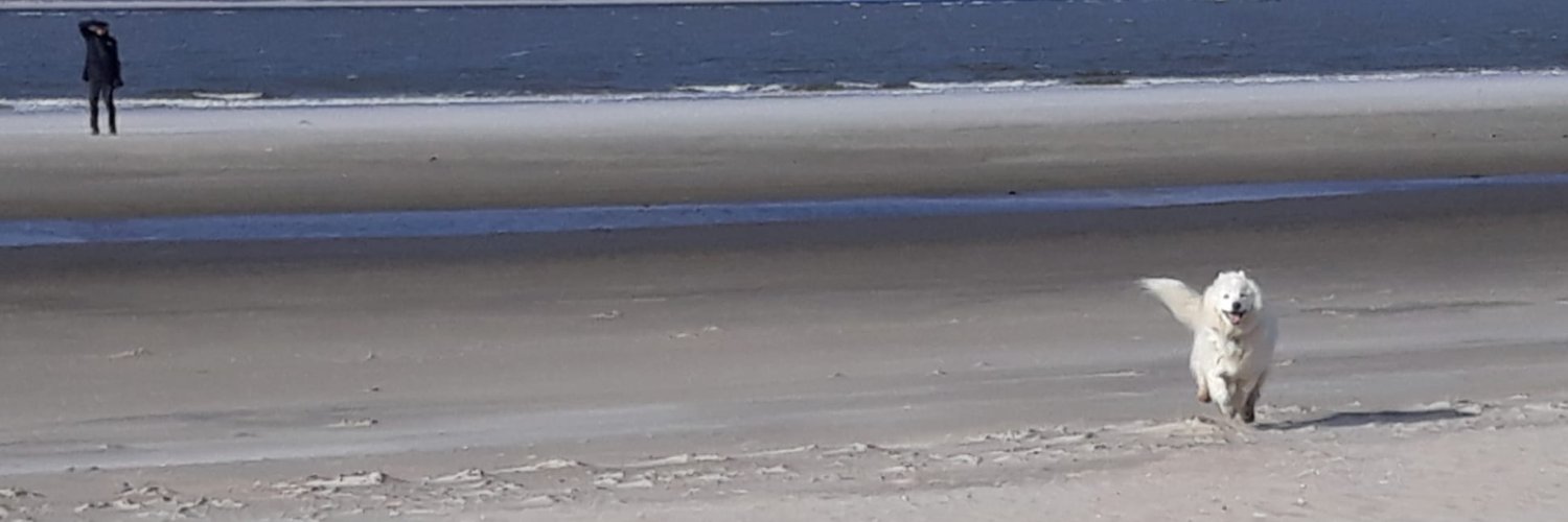nilsulrik's profile banner image