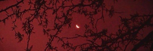 itmamazwad's profile banner image