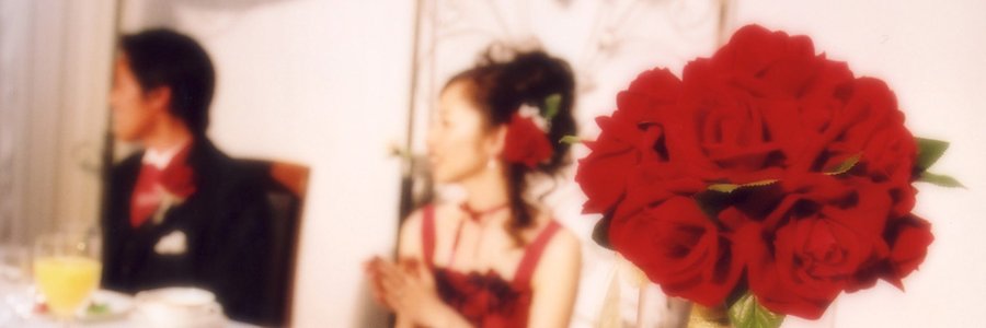 Taniguchi_St's profile banner image