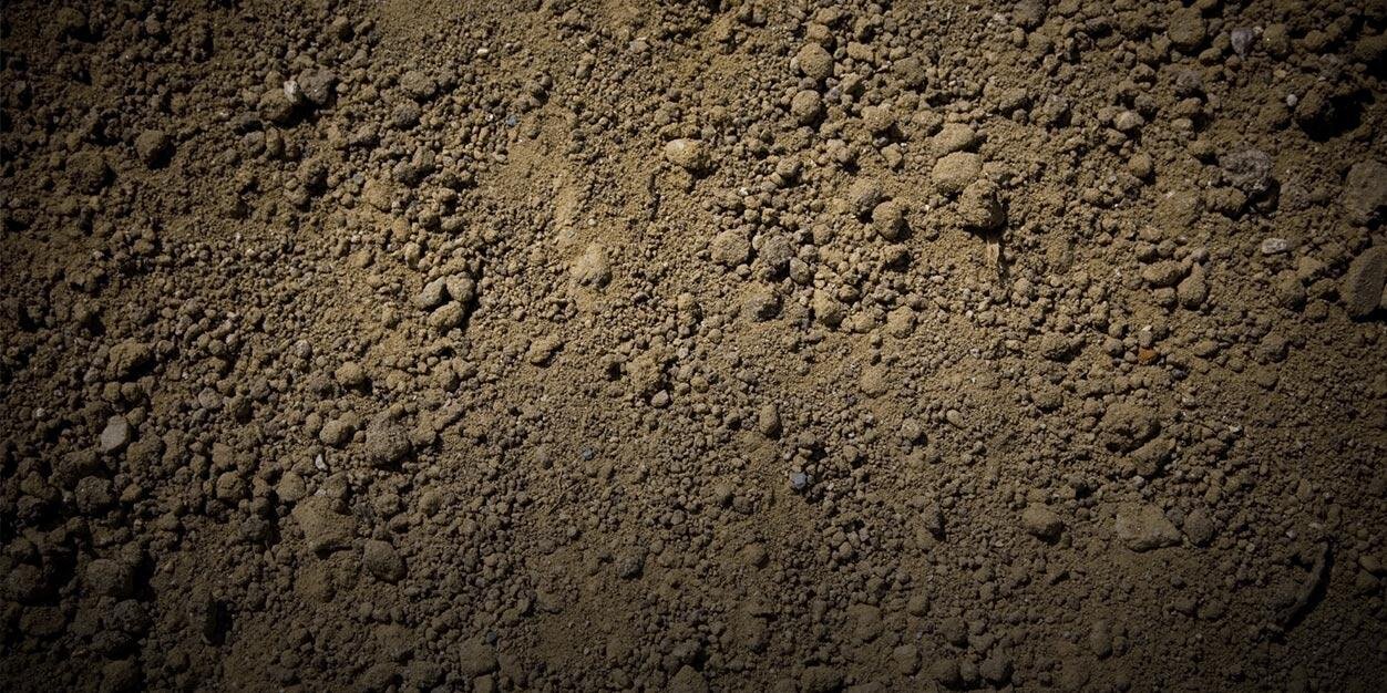 Auto Cycle Union banner