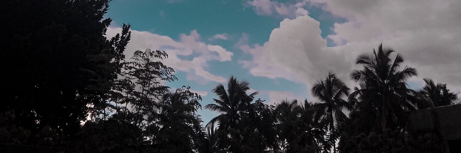 romamtnzo's profile banner image