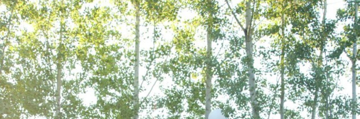 crystalespie's profile banner image