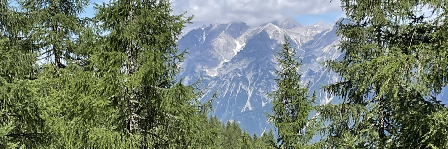 ernstartner's profile banner image