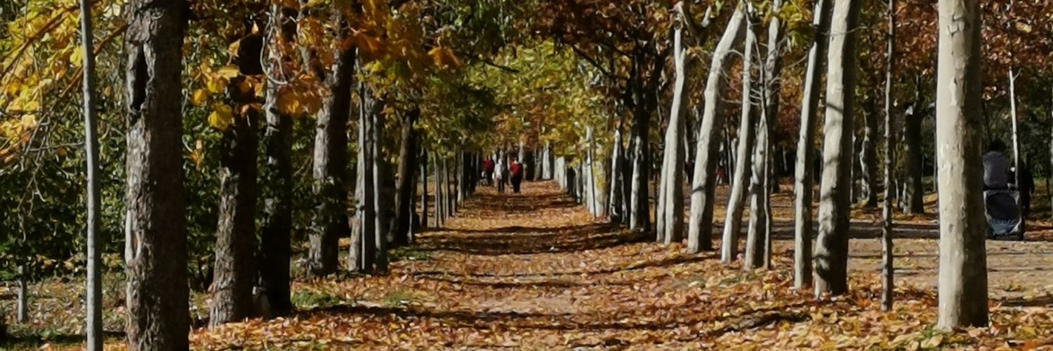 guillesomething's profile banner image
