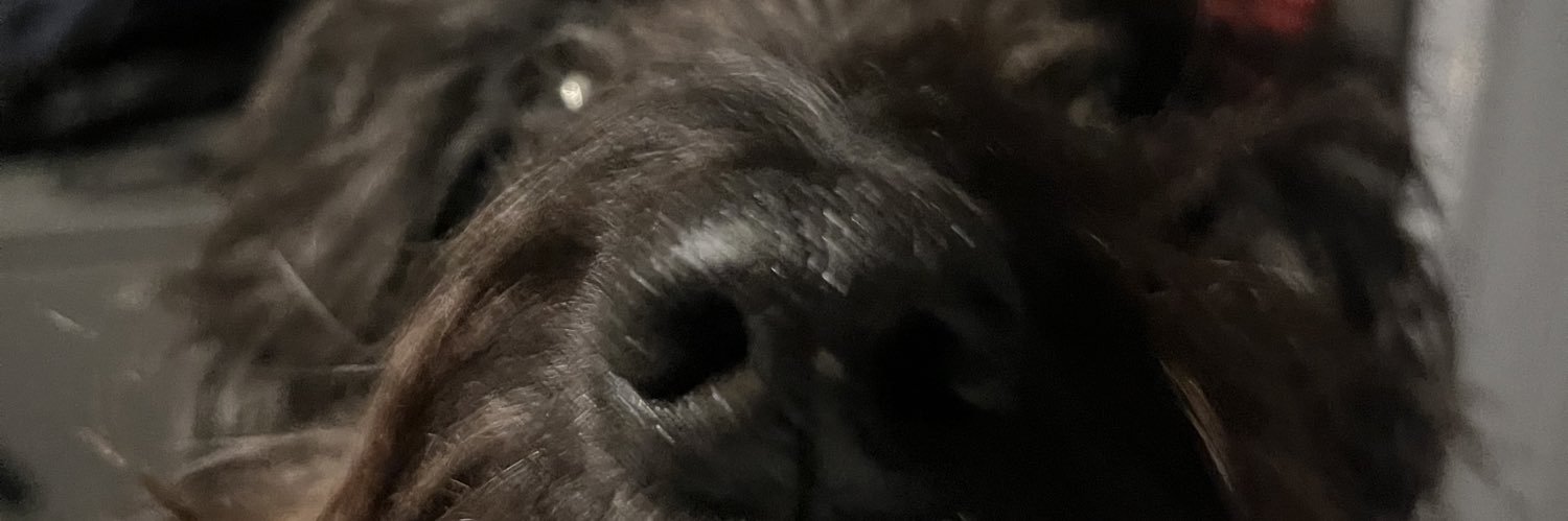 Dissy97's profile banner image