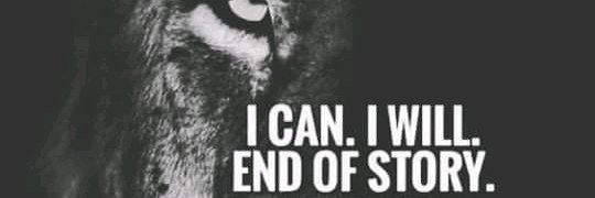 Sheshe121's profile banner image