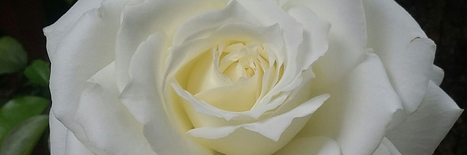 kopiblu's profile banner image