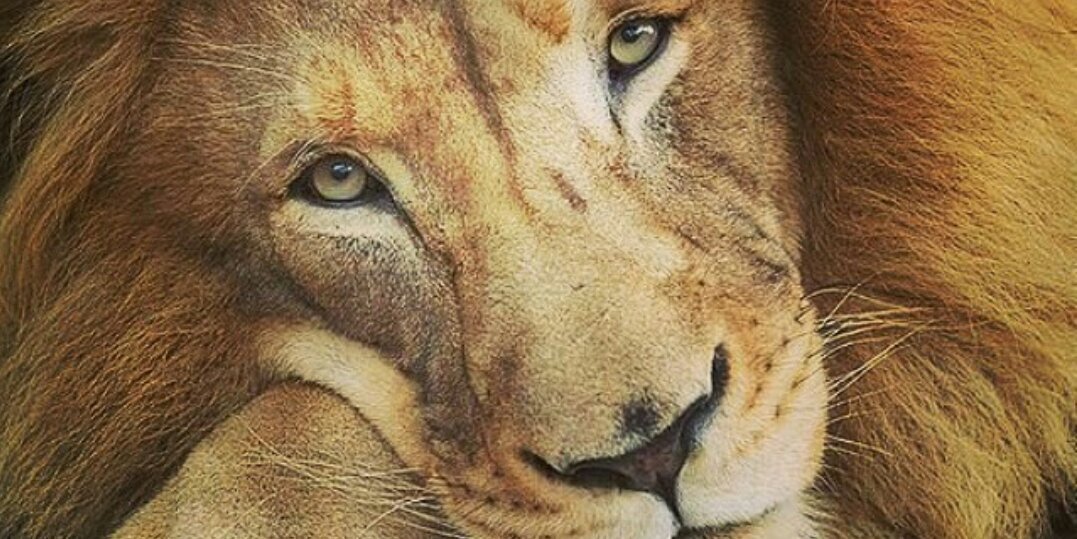 luisespada90's profile banner image