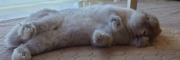 senna717 Profile Banner