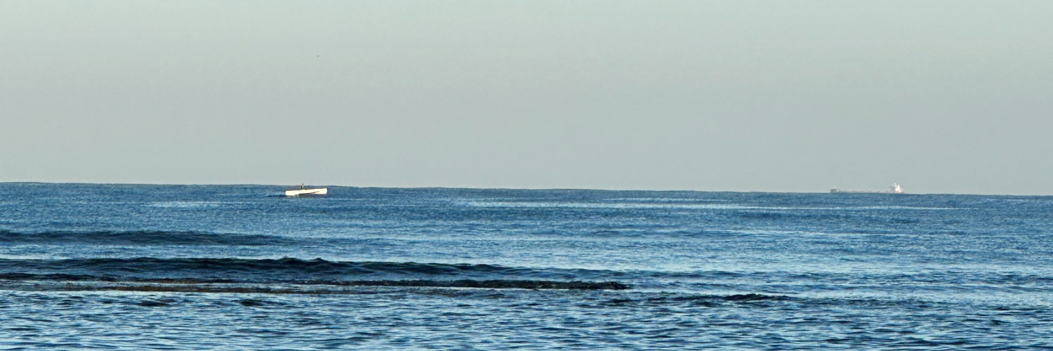 laemusni's profile banner image