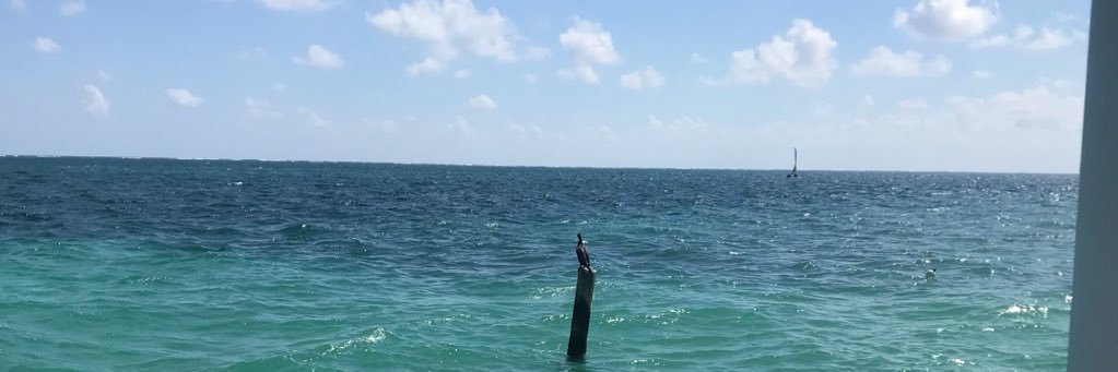 Ellerzz's profile banner image
