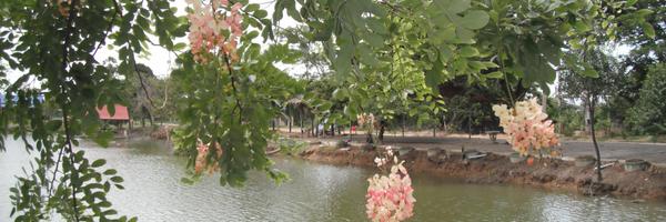 shipcome Profile Banner