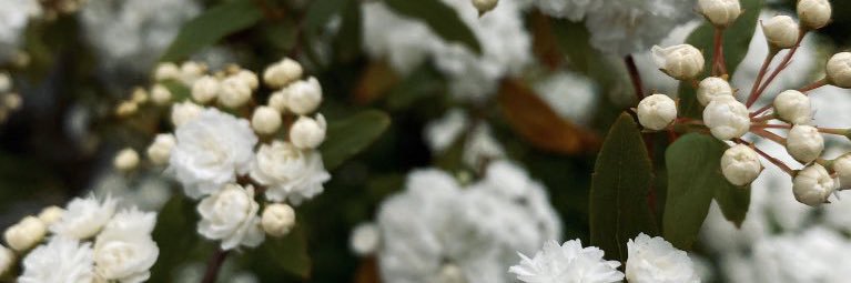 You__Only_Live's profile banner image