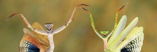 invsujitdas Profile Banner