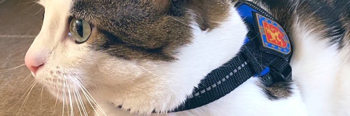 xenxunga's profile banner image