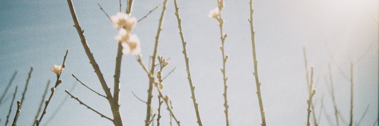 minttke's profile banner image
