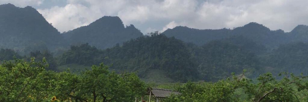 Lnngyth's profile banner image
