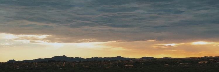 alawave511's profile banner image