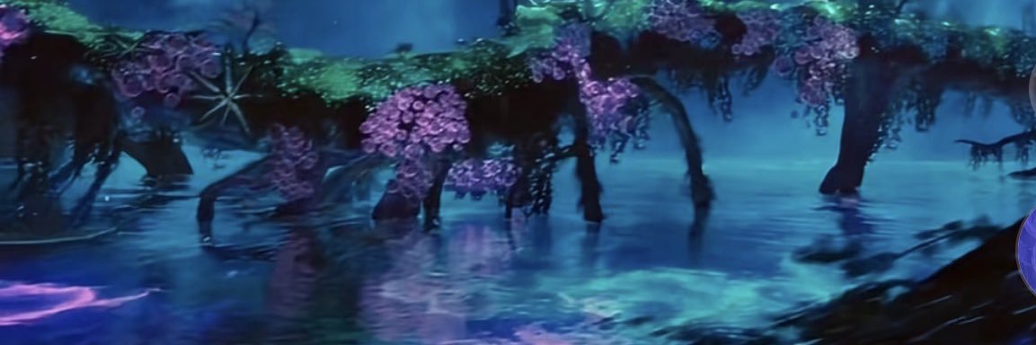 FlowerBombNelly's profile banner image