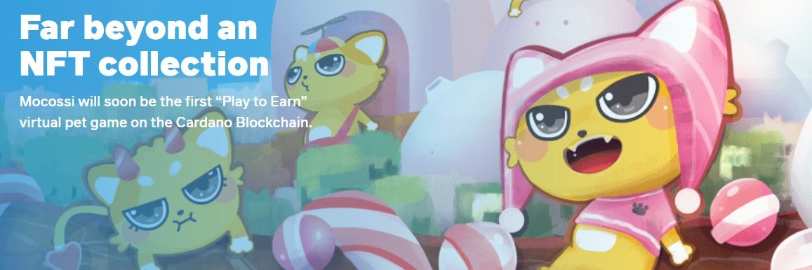 abelardomarco's profile banner image