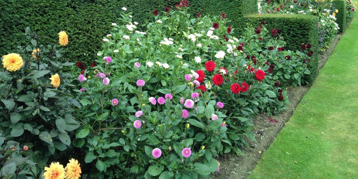 AubournHall's profile banner image