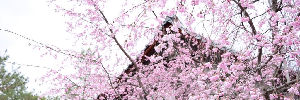 asamib6's profile banner image