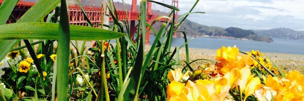 beathe Profile Banner