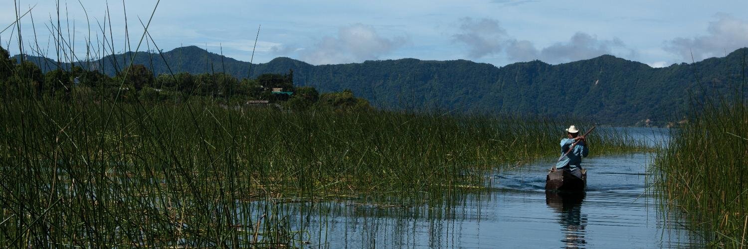 Nicolas Silberman banner
