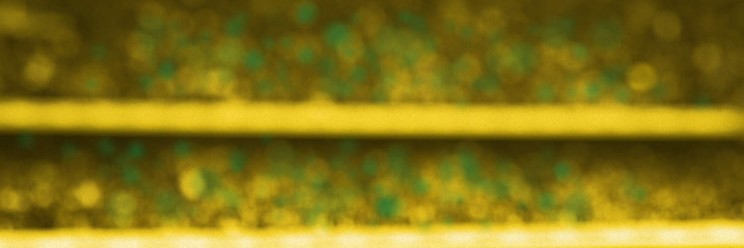 jorgencep's profile banner image