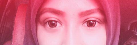 ddheedy's profile banner image