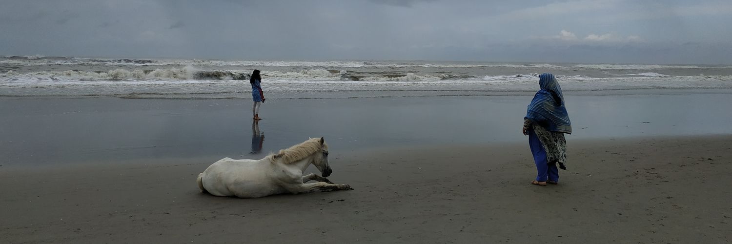 DaniellePreiss's profile banner image