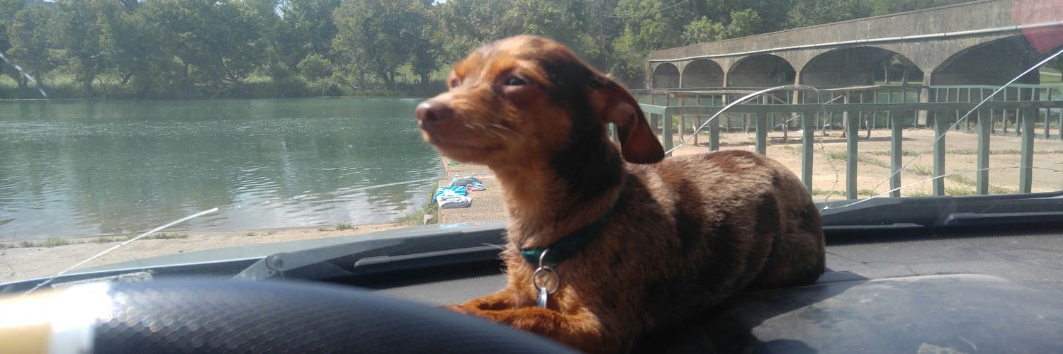 riverhopping's profile banner image