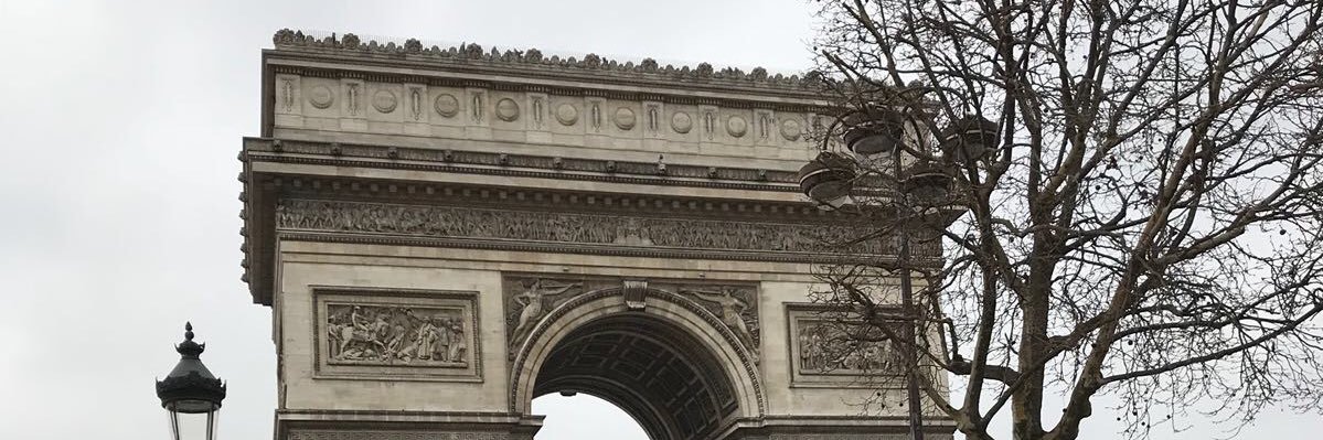 LaurenNealon's profile banner image