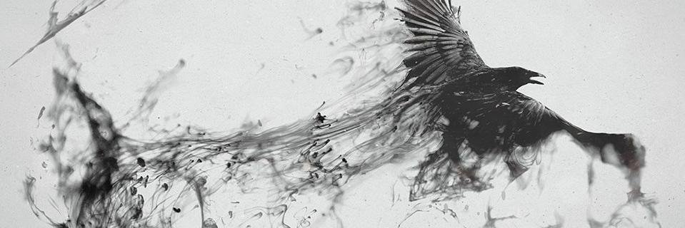 gokhanaltintel's profile banner image