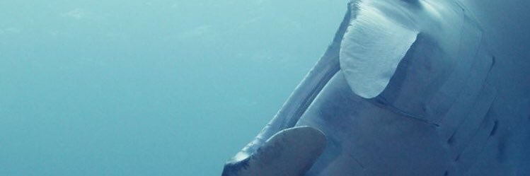 thahbubu's profile banner image