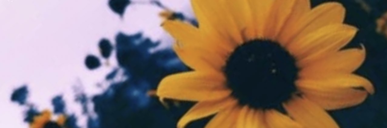 andiemanes's profile banner image