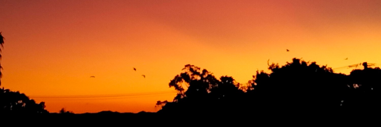 scott mcnaughton banner