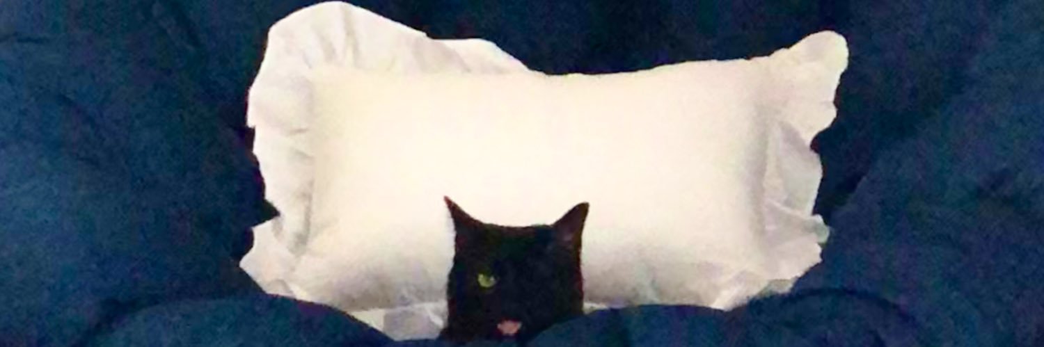 jdommmm's profile banner image