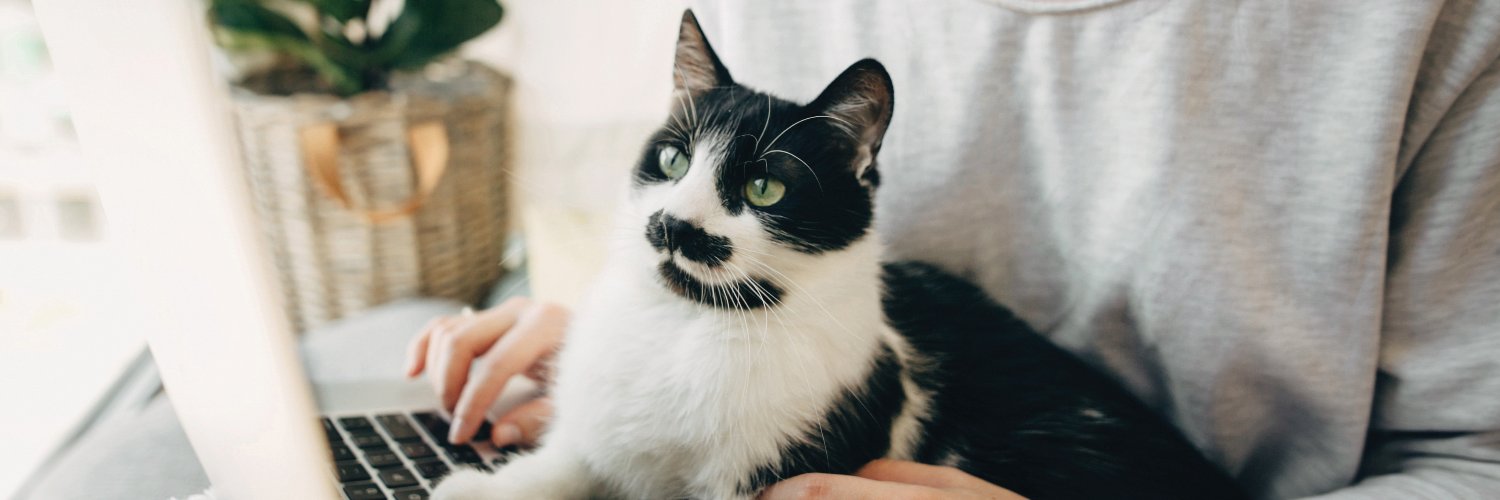 ISFMcats's profile banner image