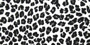 tanyaptri's profile banner image