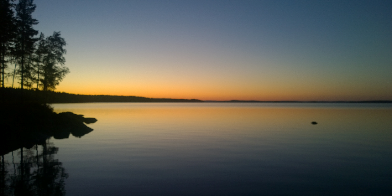 sariaumo's profile banner image