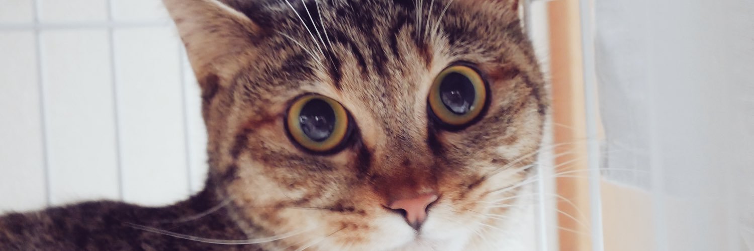 masarix's profile banner image