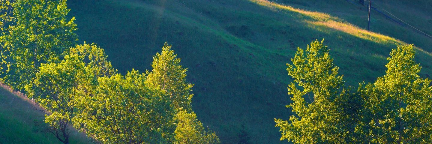 gameel's profile banner image