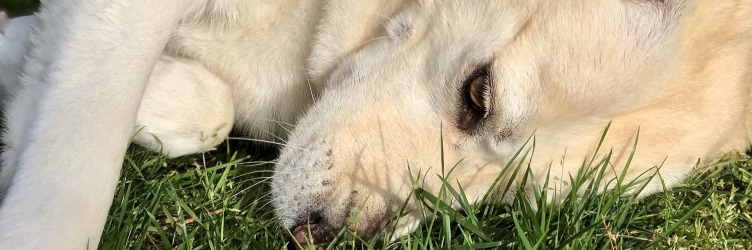 eggmcmason's profile banner image